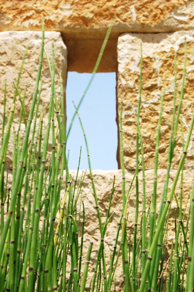 The Cascades
The Colony, TX : Commercial : Modern/ Dallas/ Pools/ Architectural Fountains/ Water Features/ Baptistry 