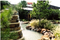 Razoo's
Bedford, TX