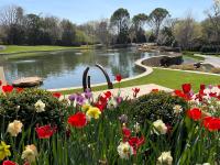 Inwood Residence
Dallas, TX
16,000 sq ft pond